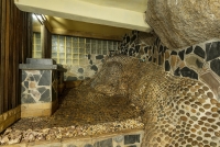 On-the-Rocks-Room-42-04