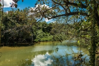 New-River-12