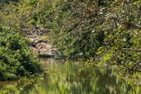 New-River-13