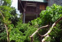 Family Bungalows On The River