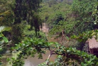 Family Bungalows On The River
