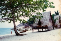 Old Photos Of Thansadet