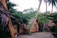Old Photos Of Thansadet