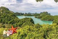 Orion-Angthong-Marine-ParkKoh-Wua-Talap-2