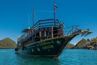 Orion Boat Trips