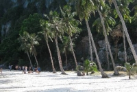 Orion Boat Trips