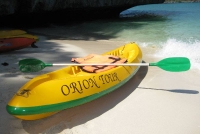 Orion Boat Trips