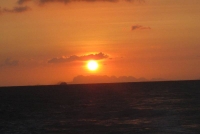 Orion Boat Trips