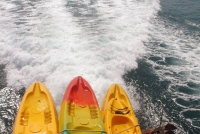 Orion Boat Trips