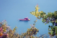 Orion Boat Trips