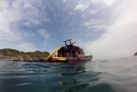 Orion Boat Trips