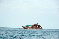 Orion Boat Trips