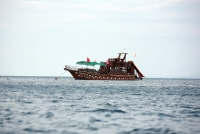 Orion Boat Trips