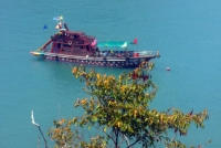 Orion Boat Trips