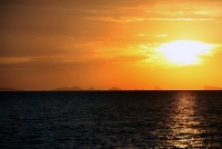 Orion Boat Trips