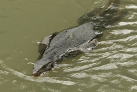 Than-Sadet-river-12